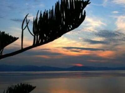 Μάχη "μνηστήρων" για το ελληνι...