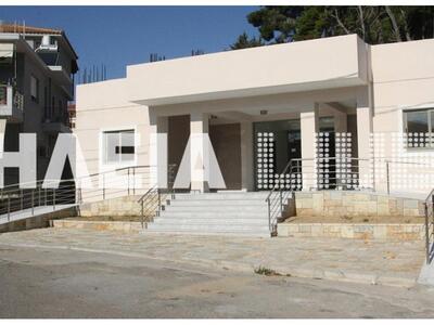 Ηλεία: Ο δήμος Ανδρίτσαινας – Κρεστένων,...