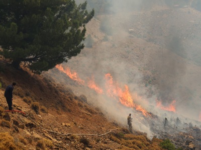 Λέσβος: 57χρονος ομολόγησε τέσσερις εμπρ...