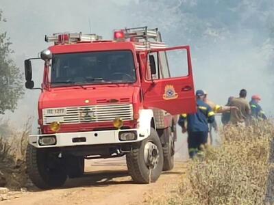 Καλάβρυτα: Συνελήφθη 73χρονος ως υπαίτιο...