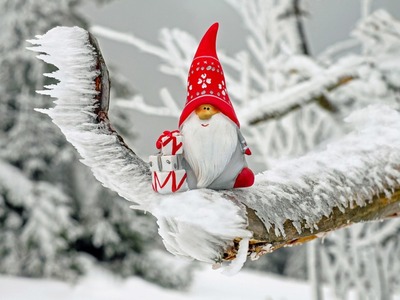 Τι είναι το «ζαχαροκάντιο ζυμωτή» που ακ...