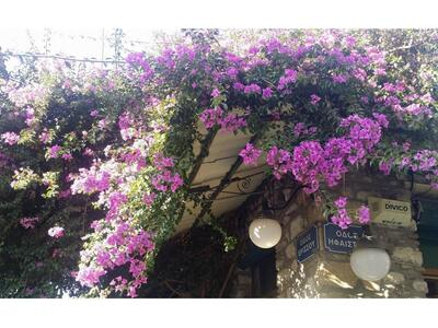 Τι ετοιμάζει ο Γ. Τσιγκιλάρας σε μια από...