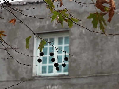 Φρίκη από το νέο Κωσταλέξι