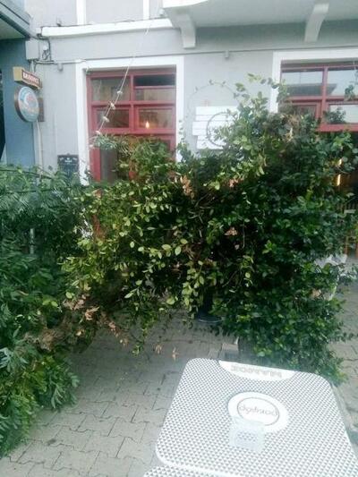 Στην Τριών Ναυάρχων, πριν από λίγο. Πηγή...