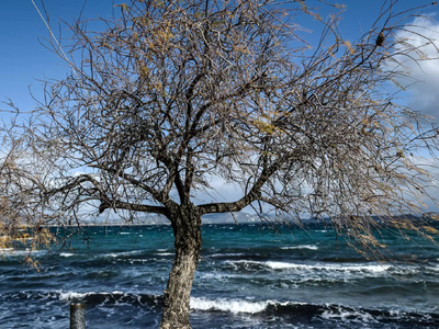 Καιρός σήμερα: Φθινοπωρινό σκηνικό με ισ...