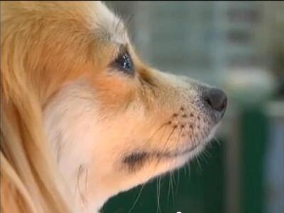 Ένοχος κρίθηκε ο 51χρονος από την Μεσαρά...