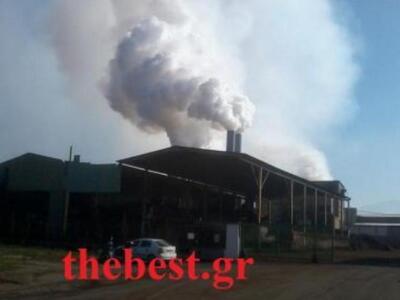 Πάτρα: Κλείνει και πάλι τα πυρηνελαιουργ...