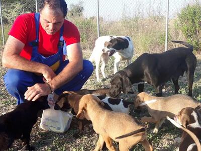 Ο Ανδρέας Κάππος ανέλαβε 14 σκυλάκια - Τ...