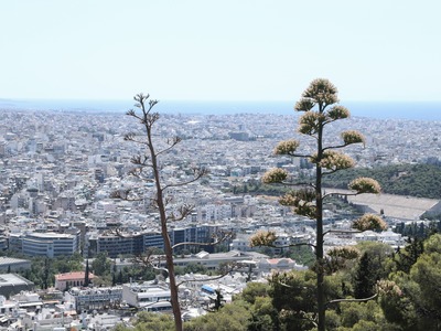 Έως τις 31 Αυγούστου στο Taxis τα εκκαθα...