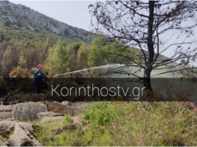 Κόρινθος: Φωτιά σε δασική έκταση στο Ξυλόκαστρο