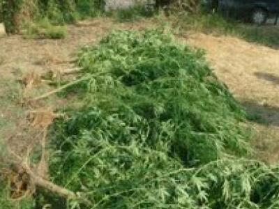 Φράγκα Αχαΐας: Συνελήφθη 55χρονος που κα...