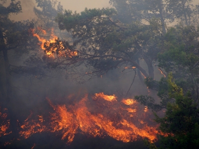 Πυρκαγιά στο Νεράκι Λαυρίου - Εκκενώθηκε...