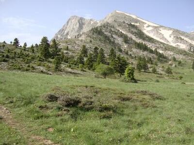 Πλήθος αθλητών και κόσμου αναμένεται αυτ...