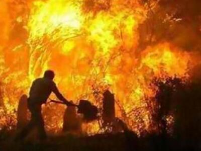 Πυρπόλησαν καταυλισμό τσιγγάνων-ενδεχόμε...