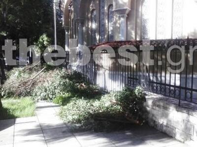 Πάτρα: Δέντρο έπεσε λόγω των ανέμων - Φθ...