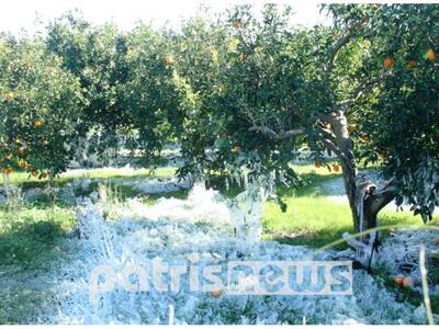 "Επιδρομή"...παγετώνων στον Δή...