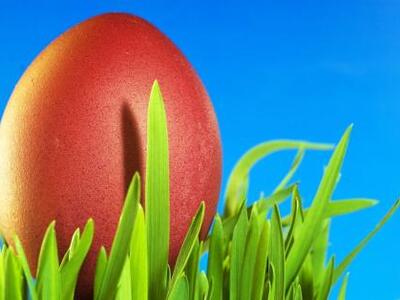 Πέντε ανοιξιάτικα εργαστήρια για παιδιά ...