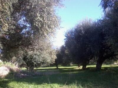 Αγρίνιο: Σε εξέλιξη πρόγραμμα βελτίωσης ...