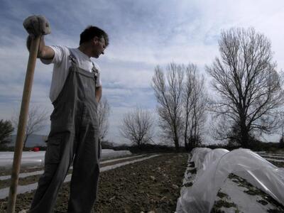 Αποζημιώσεις από τον ΕΛΓΑ σε 11.710 παραγωγούς