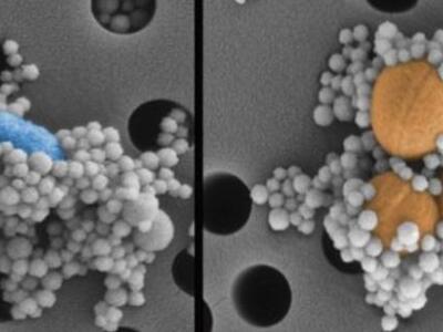 Δημιουργήθηκε για πρώτη φορά τεχνητή βιο...