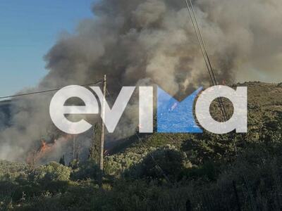 Φωτιά στην Εύβοια: Μήνυμα για εκκένωση τ...