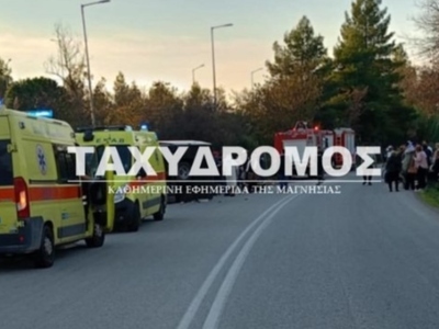 Βελεστίνο: Λόγω ενός σκύλου προκλήθηκε τ...