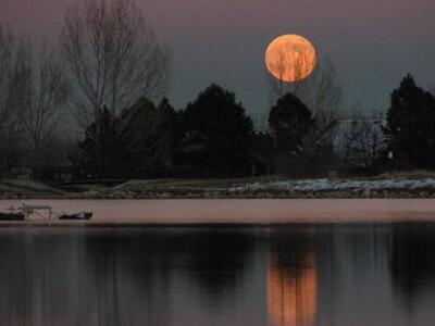 Μια λευκή νύχτα