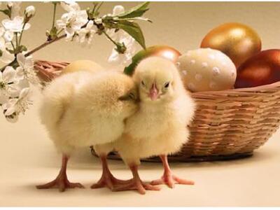 Πάτρα: Πασχαλινή έκθεση Χειροποίητων Ειδ...