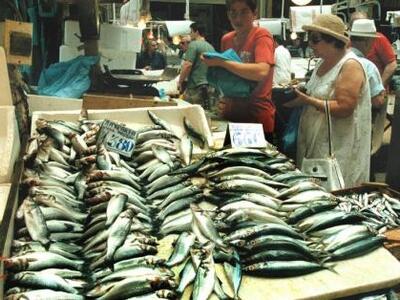 ΕΕ: Απαγορεύτηκε το πέταμα «ανεπιθύμητων» ψαριών