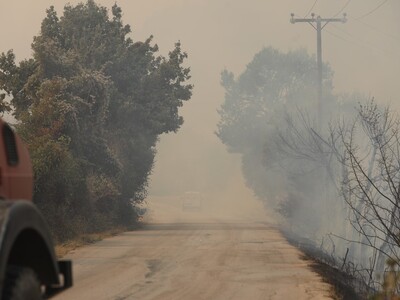 Πολύ υψηλός κίνδυνος πυρκαγιάς στην Ηλεί...