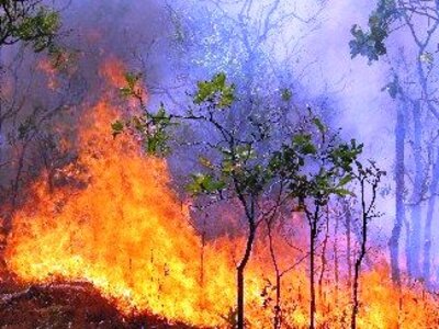 Φωτιά στον καταυλισμό των τσιγγάνων στο ...