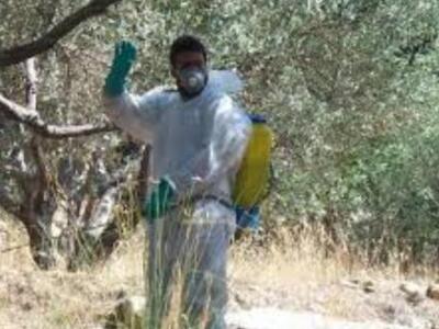 Αχαϊα: Ξεκινά ο πρώτος γενικός ψεκασμός ...