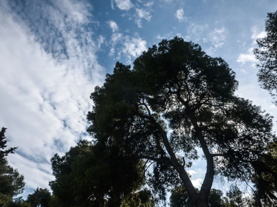 Επιστροφή στο καλοκαίρι: Ήλιος με... υπο...