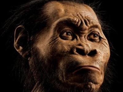 Ένα νέο είδος ανθρώπου βρέθηκε στην Νότιο Αφρική