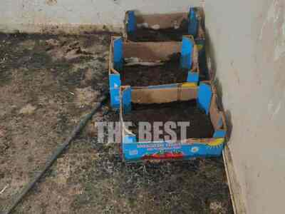 Πάτρα: Δεν πίστευαν στα μάτια τους οι εθ...