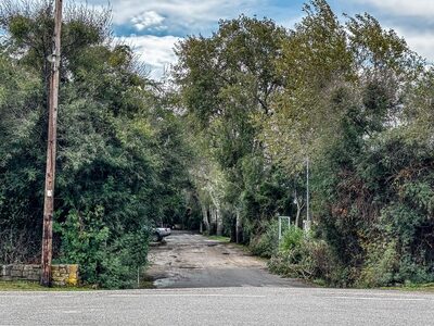 Διπλό φονικό στη Μεσσηνία: Πού αποδίδουν...