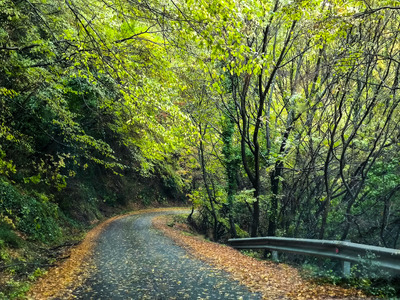 Καιρός: Πρόσκαιρη βελτίωση και άνοδος θε...