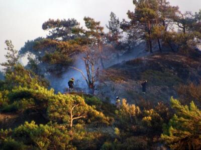 Φωτιά σε αγροτική περιοχή στο Χάβαρι Αμαλιάδας 