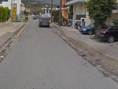 Διγενή Ακρίτα