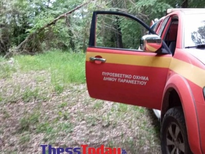 Δράμα: Θρίλερ με την επίθεση αρκούδας- «...