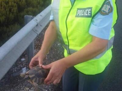 Αστυνομικοί της τροχαίας αυτοκινητοδρόμω...