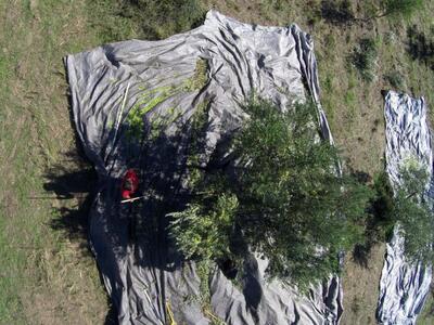 Αμαλιάδα: 48χρονος ξεψύχησε την ώρα που ...