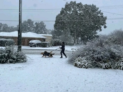 Αυστραλία: Ισχυρή χιονόπτωση στα ανατολι...