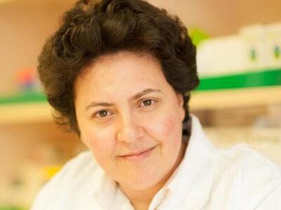 Διακίνηση κτηνιατρικών φαρμάκων- Ζήτημα ...