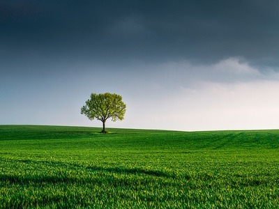 ΦΩΤΟ pixabay