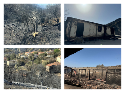 Δήμος Ερυμάνθου: Κάηκαν σπίτια, ζώα, απο...