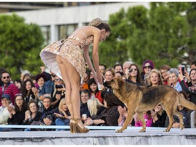 Η Θεσσαλονικιά σέξυ κτηνίατρος που προκά...