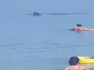 Θεσσαλονίκη: Φεγγαρόψαρο κολυμπούσε στα ...