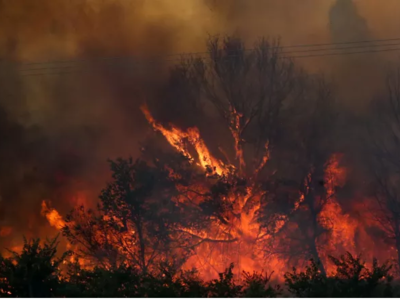 Φωτιά στον Έβρο: Νεκρός μετανάστης στη Λευκίμμη