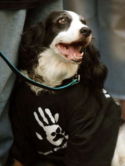 Κυριακή 4 Οκτωβρίου:  Παγκόσμια Ημέρα Ζώων !